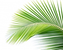 Screen 1 image