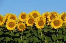Screen 1 image