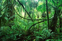 Screen 1 image