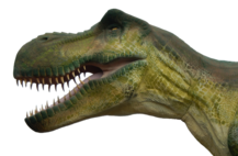 Screen 1 image