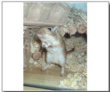 Screen 1 image