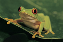 Screen 2 image
